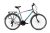 Capriolo Roadster Man 1.0 férfi trekking kerékpár 22" szürke