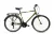 Capriolo Sunrise Man férfi trekking kerékpár Zöld 22"