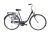Capriolo Diana 1 sebességes női kontrás városi kerékpár 20" Grafit