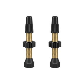 WTB Tubeless szingó szelep garnitúra [34 mm]