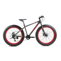 fatbike