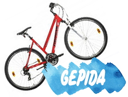 piros Gepida női kerékpár